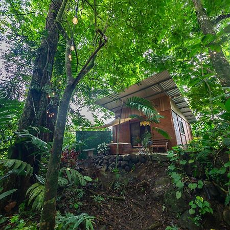 The Frog House Apartment La Fortuna Ngoại thất bức ảnh