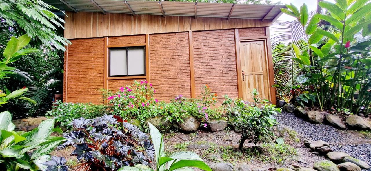 The Frog House Apartment La Fortuna Ngoại thất bức ảnh