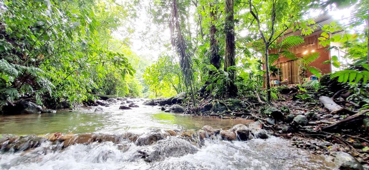 The Frog House Apartment La Fortuna Ngoại thất bức ảnh