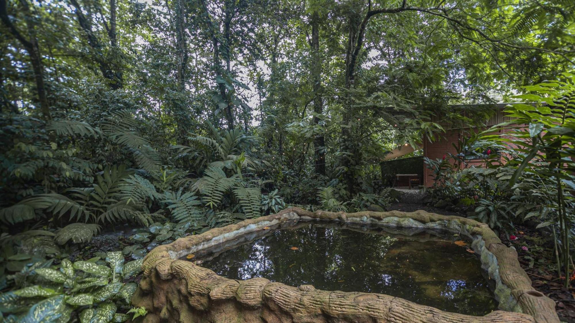 The Frog House Apartment La Fortuna Ngoại thất bức ảnh