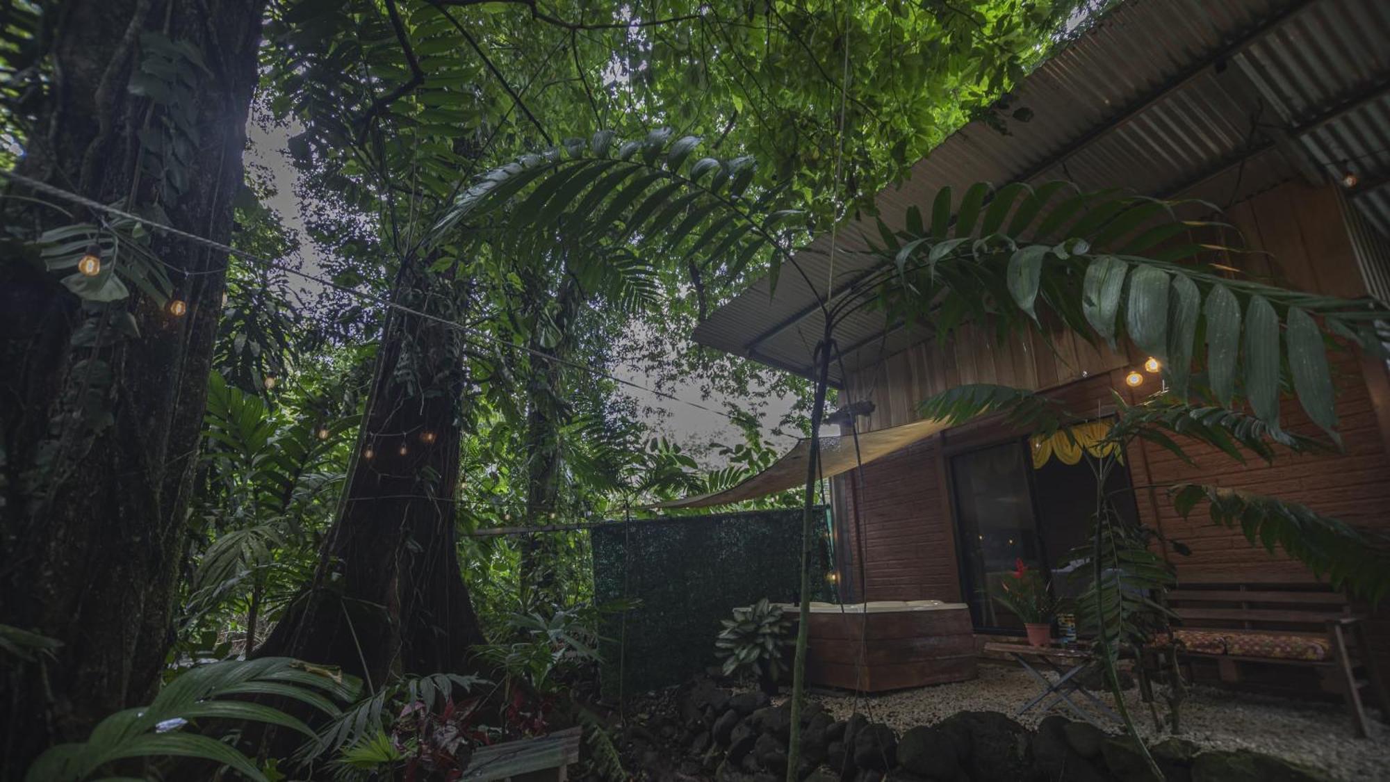 The Frog House Apartment La Fortuna Ngoại thất bức ảnh