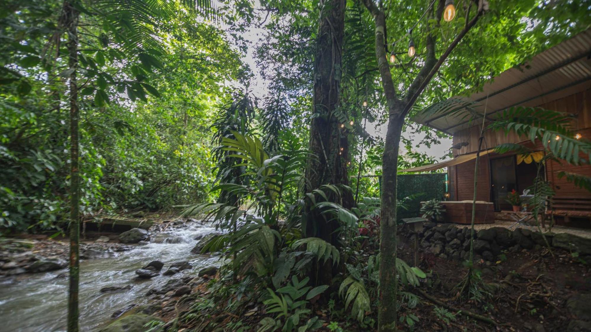 The Frog House Apartment La Fortuna Ngoại thất bức ảnh