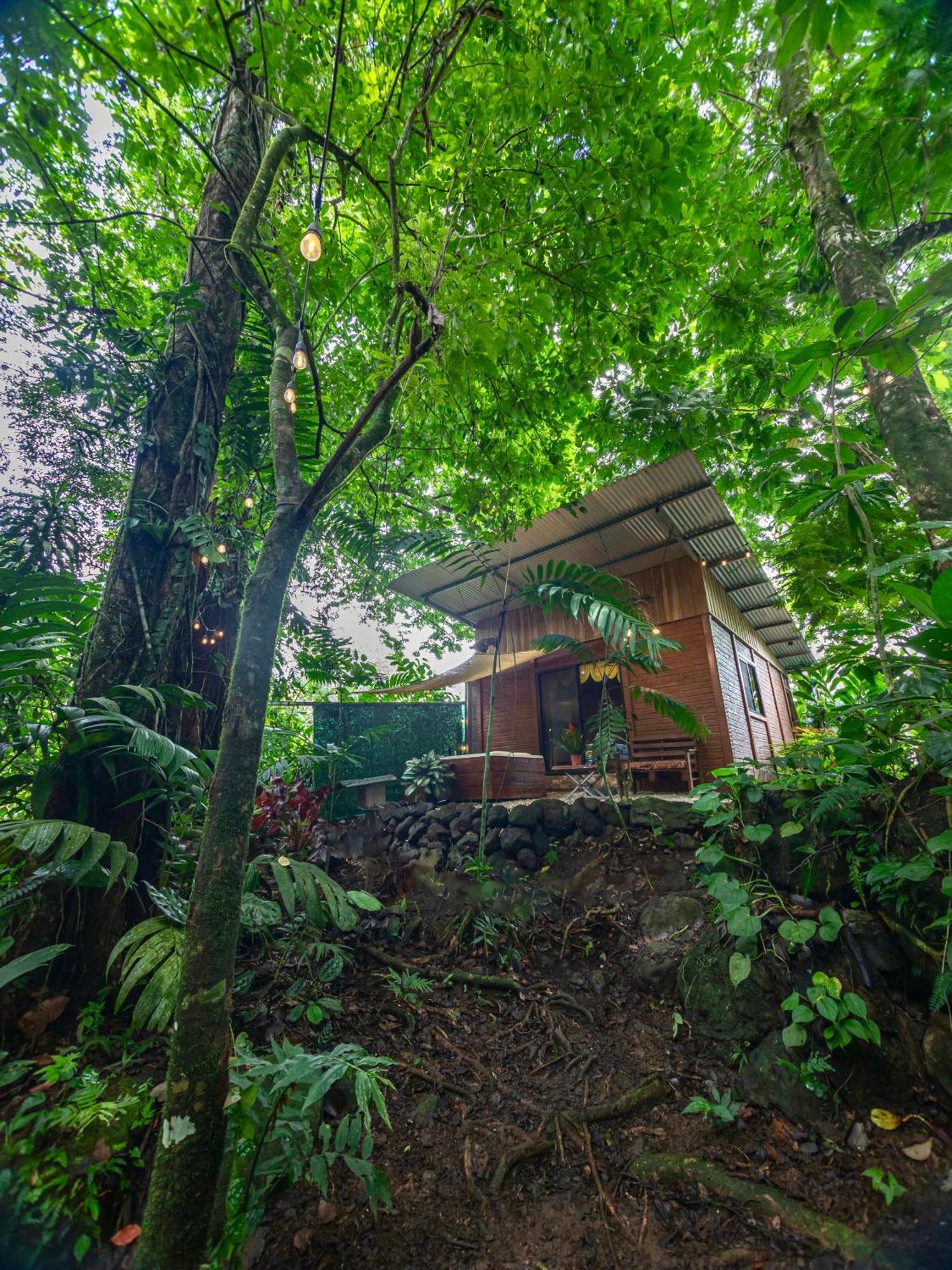 The Frog House Apartment La Fortuna Ngoại thất bức ảnh